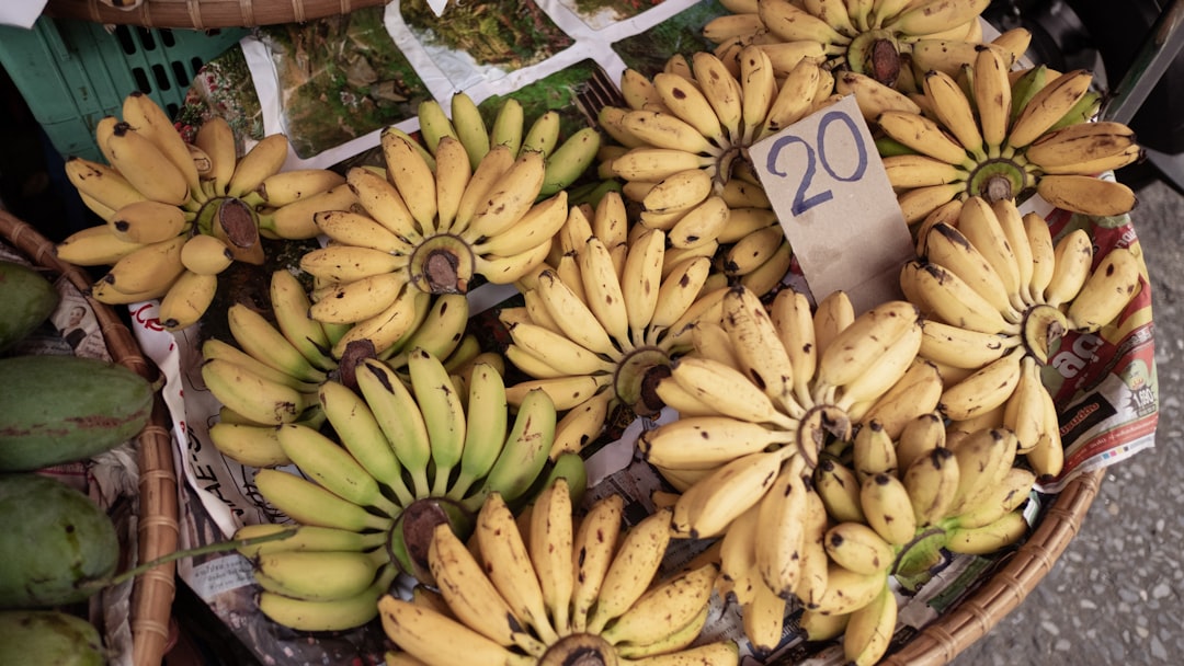 Mastering FSSAI Compliance for Your Food Business